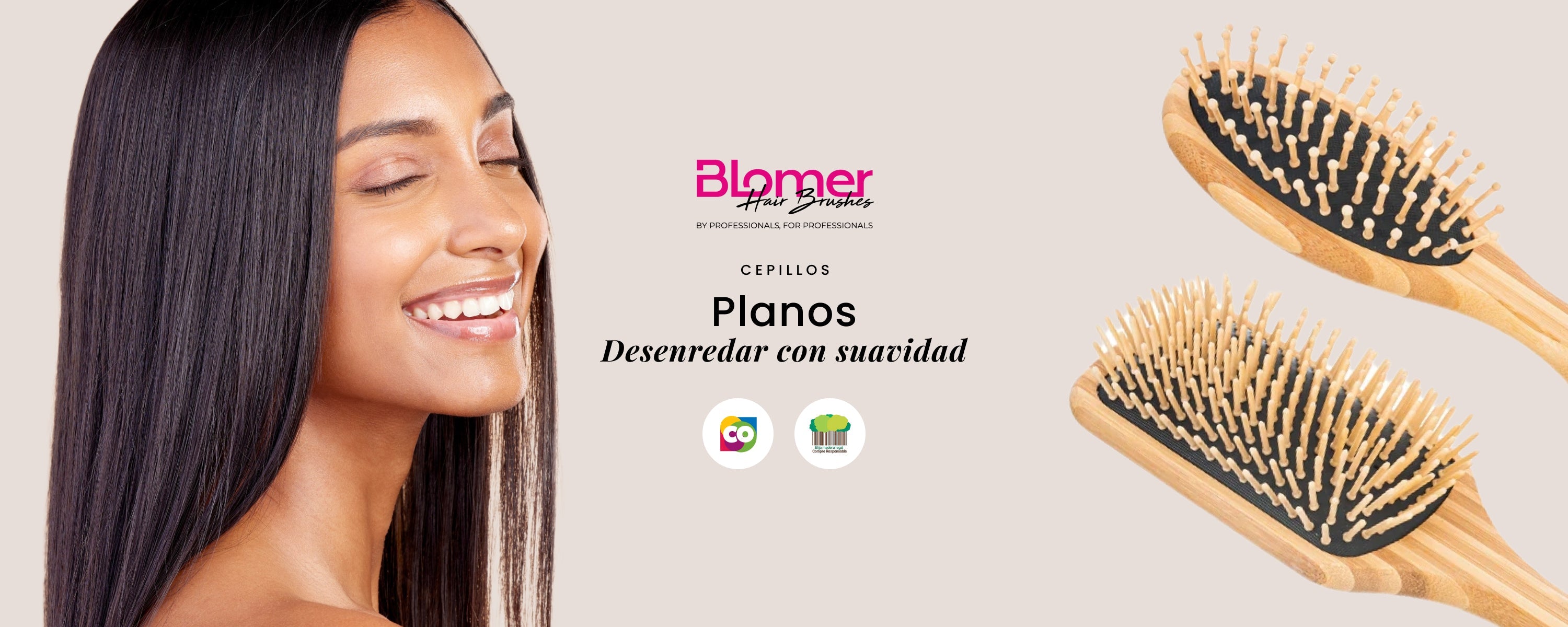 Cepillos Planos Blomer